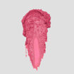 Imagen de LÁPIZ LABIAL BRILLANTE  B05 CANTY