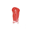Imagen de BRILLO LABIAL CRUSH