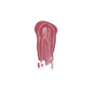Imagen de BRILLO LABIAL  FOREVER